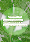 BRING GREEN - Artemisia Calming Moisture Repair Cream