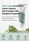 ISNTREE - Mugwort Calming Cream (Discounted)
