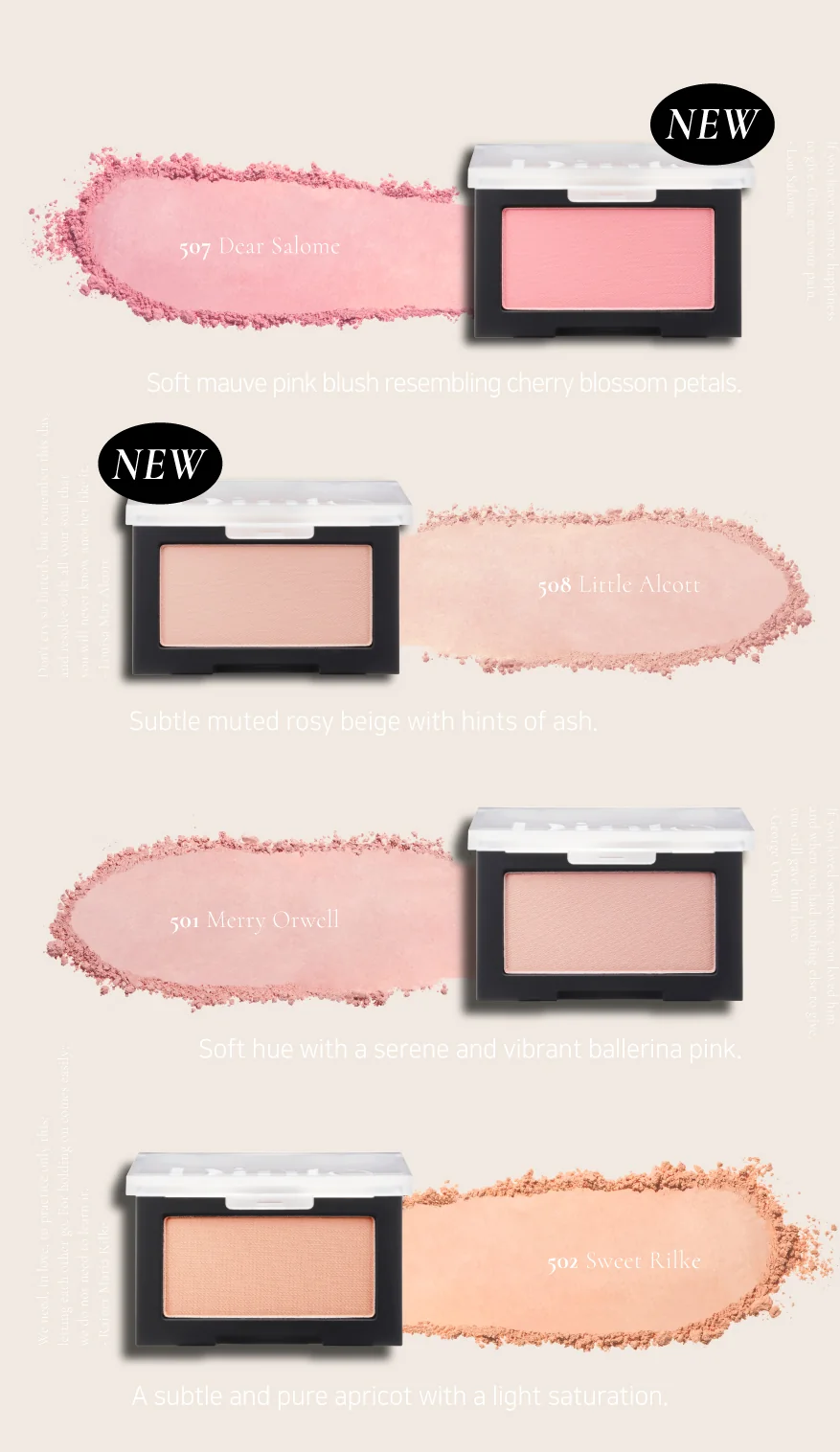 DINTO - Blur-Finish All that Moments Blusher