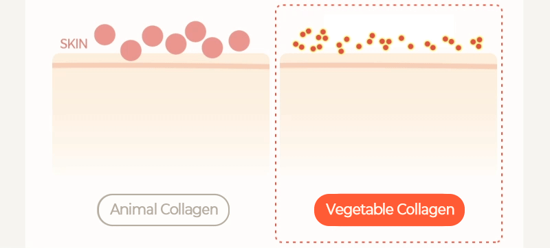 KLAVUU - Real Vegan Collagen Cream