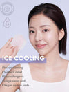 DERMAL - Ice Cooling Toner Pad 120 Pads