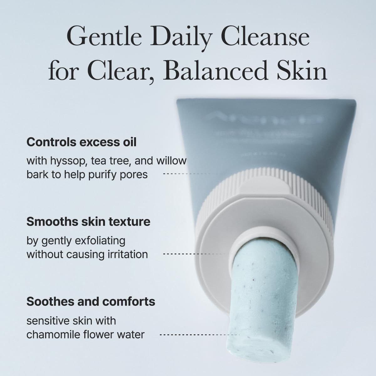 ARENCIA - Hyssop Sebum Control Rice Cake Cleanser