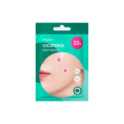 BEPLAIN - Cicaterol Spot Patch