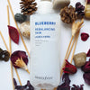 INNISFREE - Blueberry Rebalancing Skin